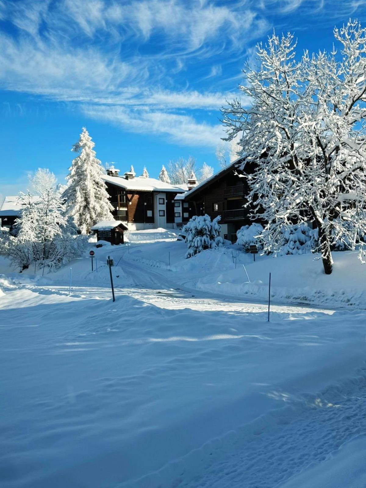 Le Flocon Du Mont Darbois Classe 3 Etoiles Megève Exterior foto
